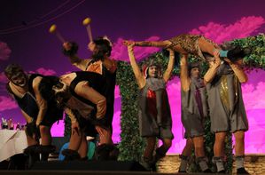 vccprunksitzung14 24 Maennerballett VCC 14