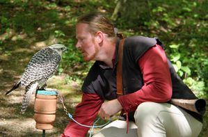 FruehlingsfestGreifvogelschau 05 Weißer Gerfalke