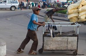 1 vendeur
