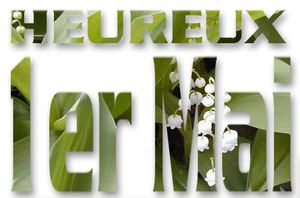 muguet2mk3.jpg