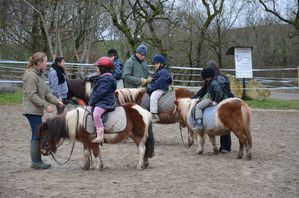 sortie-poneys-01-2012-091.jpg