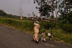 Secteur---Afrique.jpg