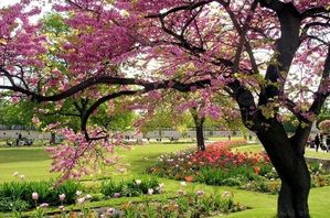 printemps-louvre-292923-1-.jpg