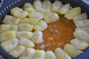 tatin 5