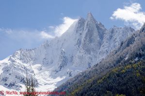 DSC_2943--Copier-.jpg