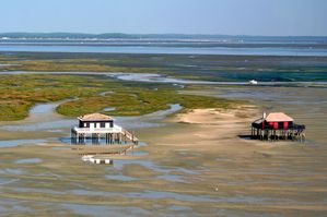Bassin_d-Arcachon_-_Cabanes_tchanquees.jpg