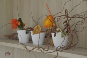 fleursautonme2