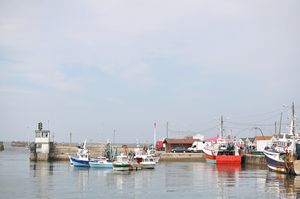Isigny sur Mer 009 011