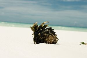Ananas sur une plage