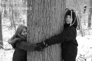 puissance-ds-arbres.jpg