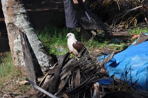 artisanat coir village (6)