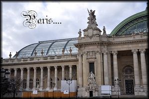 Grand-Palais-10aa.jpg