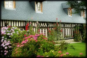 Les-Roses-Tremieres-3b.jpg