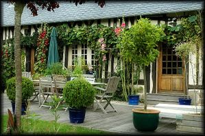 Les-Roses-Tremieres-4b.jpg