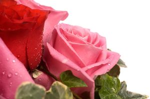 Unemamancestlaplusbellefleurdevotrevie-76213.jpg