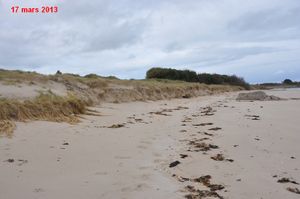 Tortue-2013-cmp-0047.jpg