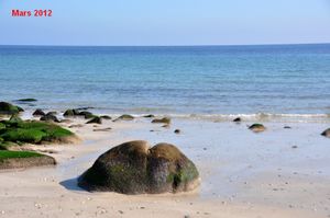 Tortue-2013-cmp-0383.jpg
