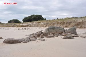 Tortue-2013-cmp-0037