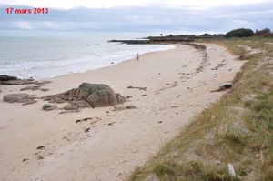 Tortue-2013-cmp-0057