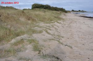 Tortue-2013-cmp-0789