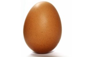 Oeuf 1 4b21145d94340