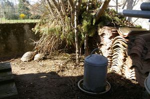 cabane aux tortues