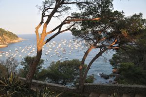 ete---soleil-5116.jpg