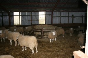 IMG_3483----copie-1.JPG
