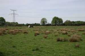 IMG_3640---.JPG
