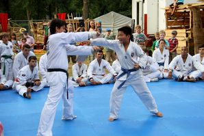 30jasp 01 Taekwondo 09