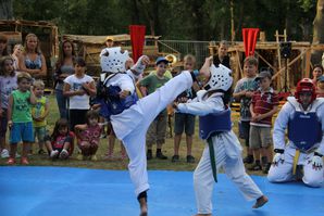 30jasp 01 Taekwondo 17