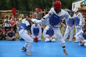 30jasp 01 Taekwondo 27b