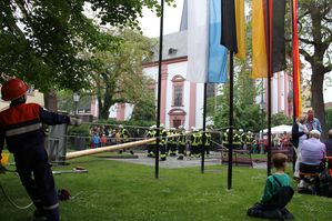 Maibaum 08