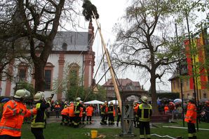 Maibaumaufstellung 13