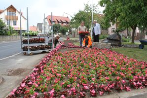 dorfplatzpflanzung-2013.jpg