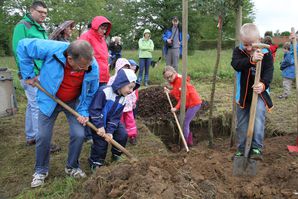 ObstbaumNaturfreunde 05 Erde ins Loch 04