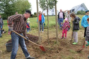 ObstbaumNaturfreunde 06 Gießrand 01