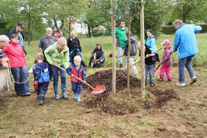 ObstbaumNaturfreunde 07 Rindenmulch 01