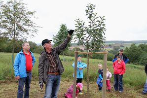 ObstbaumNaturfreunde 09 Zurueckschneiden Krone 1