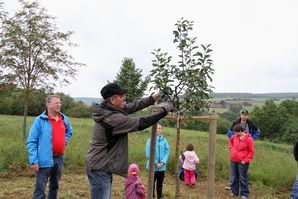 ObstbaumNaturfreunde 09 Zurueckschneiden Krone 2