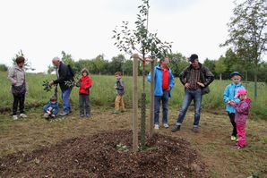 ObstbaumNaturfreunde 09 Zurueckschneiden Krone 6 Dankeswort