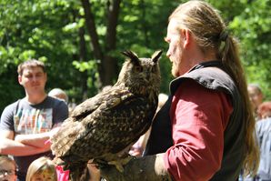 FruehlingsfestGreifvogelschau 03 Uhu 06