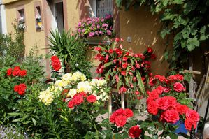 RohmEwald-Blumenschmuck-01.jpg
