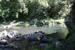 la-reunion 1241