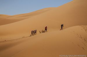 DRAYMDS2012-04-14-3650