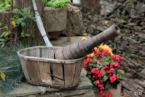 vase-osier.jpg