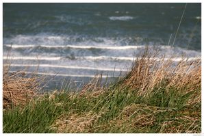 26-jpg