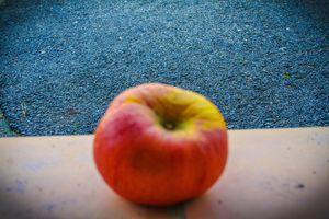 pomme-melrose-.jpg