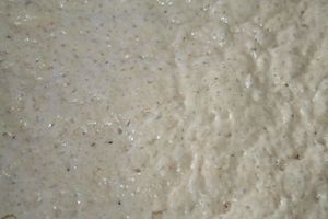 pain-casareccio-11-10-001.jpg