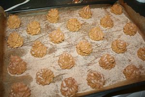 biscuit-snickers--2-.JPG